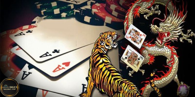 Thách thức bản thân với trò chơi Rồng Hổ đầy kịch tính
